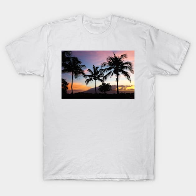 Sunset Palm Trees T-Shirt by NewburyBoutique